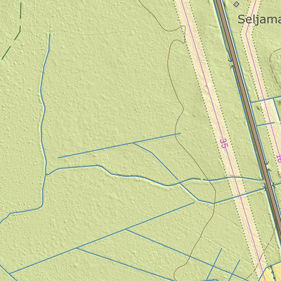 Maa-amet Tamba küla, Lääneranna vald digital map
