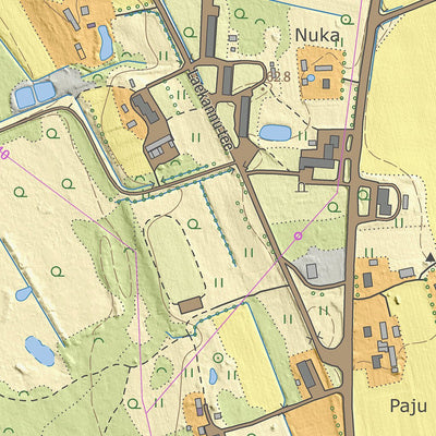 Maa-amet Ulvi küla, Mustvee vald digital map