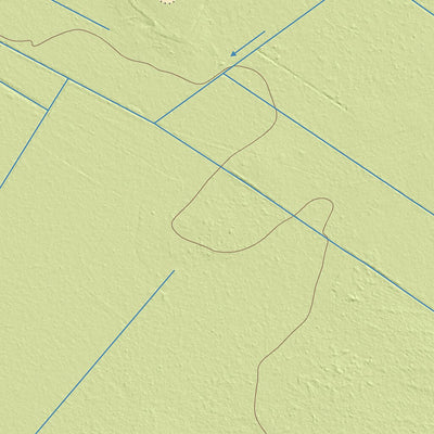 Maa-amet Vaali küla, Järva vald digital map