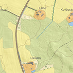 Maa-amet Viirapalu küla, Antsla vald digital map