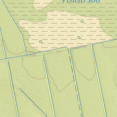 Maa-amet Visusti küla, Jõgeva vald digital map