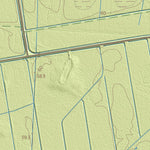Maa-amet Võiardi küla, Räpina vald digital map