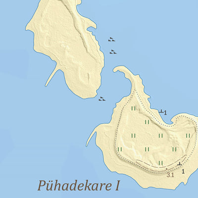 Maa-amet Võiküla, Muhu vald (2) digital map