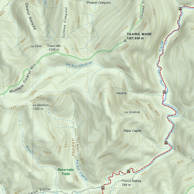 Muntele Coza Preview 3