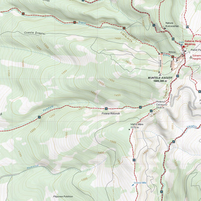 MANTA MAPS Muntele Mădăraş digital map