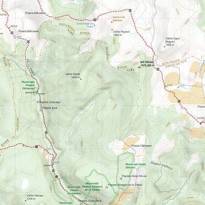 Podişul Padiş Preview 2