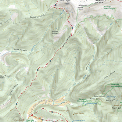 Podişul Padiş Preview 3