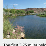 San Juan River - Fish New Mexico Preview 3