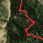 Coastal Redwoods Trailfest Day 1 - Pure Redwoods Preview 2