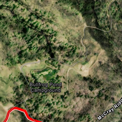 Coastal Redwoods Trailfest Day 1 - Pure Redwoods Preview 3