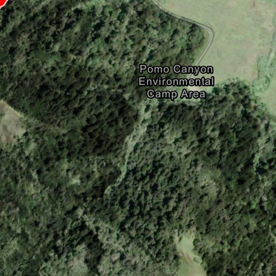 Coastal Redwoods Trailfest Day 2 - Redwoods to Sea Preview 2