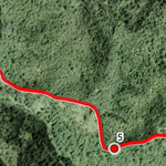 Coastal Redwoods Trailfest Day 2 - Redwoods to Sea Preview 3