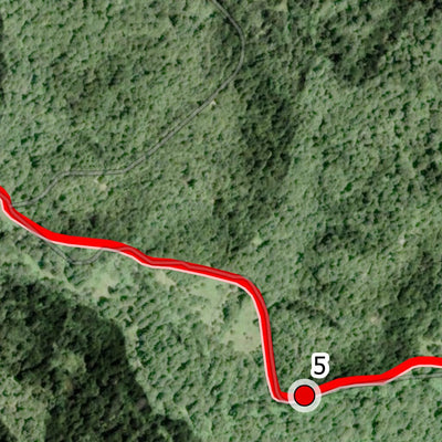 Coastal Redwoods Trailfest Day 2 - Redwoods to Sea Preview 3