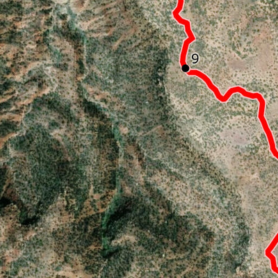 Zion 30km Race Preview 2