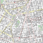 MapSherpa Mexico City, Mexico digital map