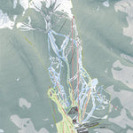 Arizona Snowbowl Resort Preview 1