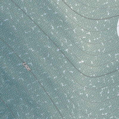 Cannon Mountain Resort Preview 2