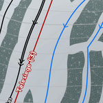 Mapsynergy Mont Avalanche Resort digital map