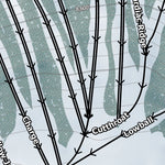 Mt Rose Resort Preview 2