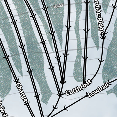 Mt Rose Resort Preview 2