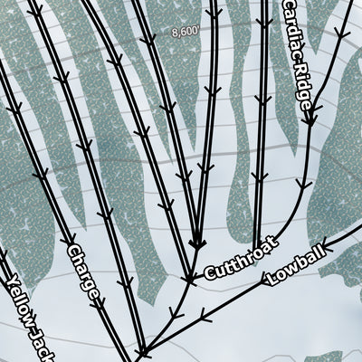 Mt Rose Resort Preview 2
