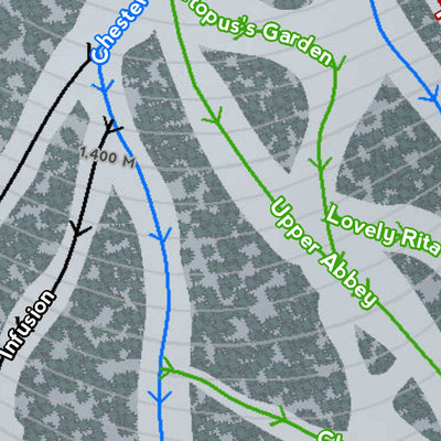 Mapsynergy Powder King Resort digital map