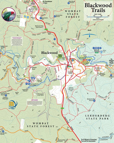 Blackwood Region Map Preview 1