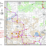 MI DNR Wexford County Snowmobile Trails digital map