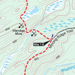 MichiganTrailMaps.com Huginnin Cove Loop - Isle Royale digital map