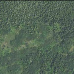 Minnesota Department of Natural Resources Balsam Fir HWT 2022 digital map