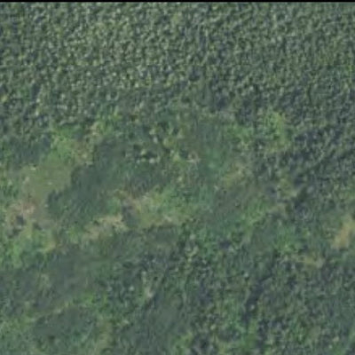 Minnesota Department of Natural Resources Balsam Fir HWT 2022 digital map