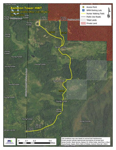 Bankton Tower HWT 2022 Preview 1