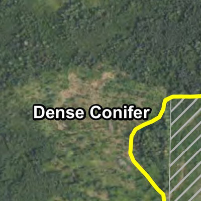 Bankton Tower HWT 2022 Preview 2