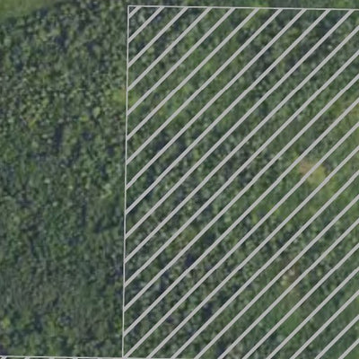 Bankton Tower HWT 2022 Preview 3