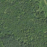 Minnesota Department of Natural Resources Birch Hill HWT 2022 digital map