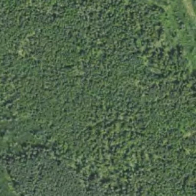 Minnesota Department of Natural Resources Birch Hill HWT 2022 digital map