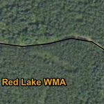 Minnesota Department of Natural Resources Birds & Berries HWT 2022 digital map
