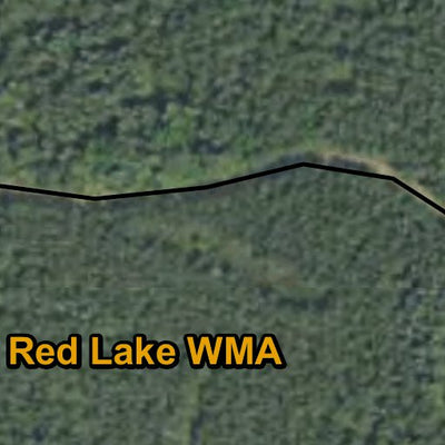 Minnesota Department of Natural Resources Birds & Berries HWT 2022 digital map