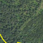 Minnesota Department of Natural Resources Birds & Berries HWT 2022 digital map