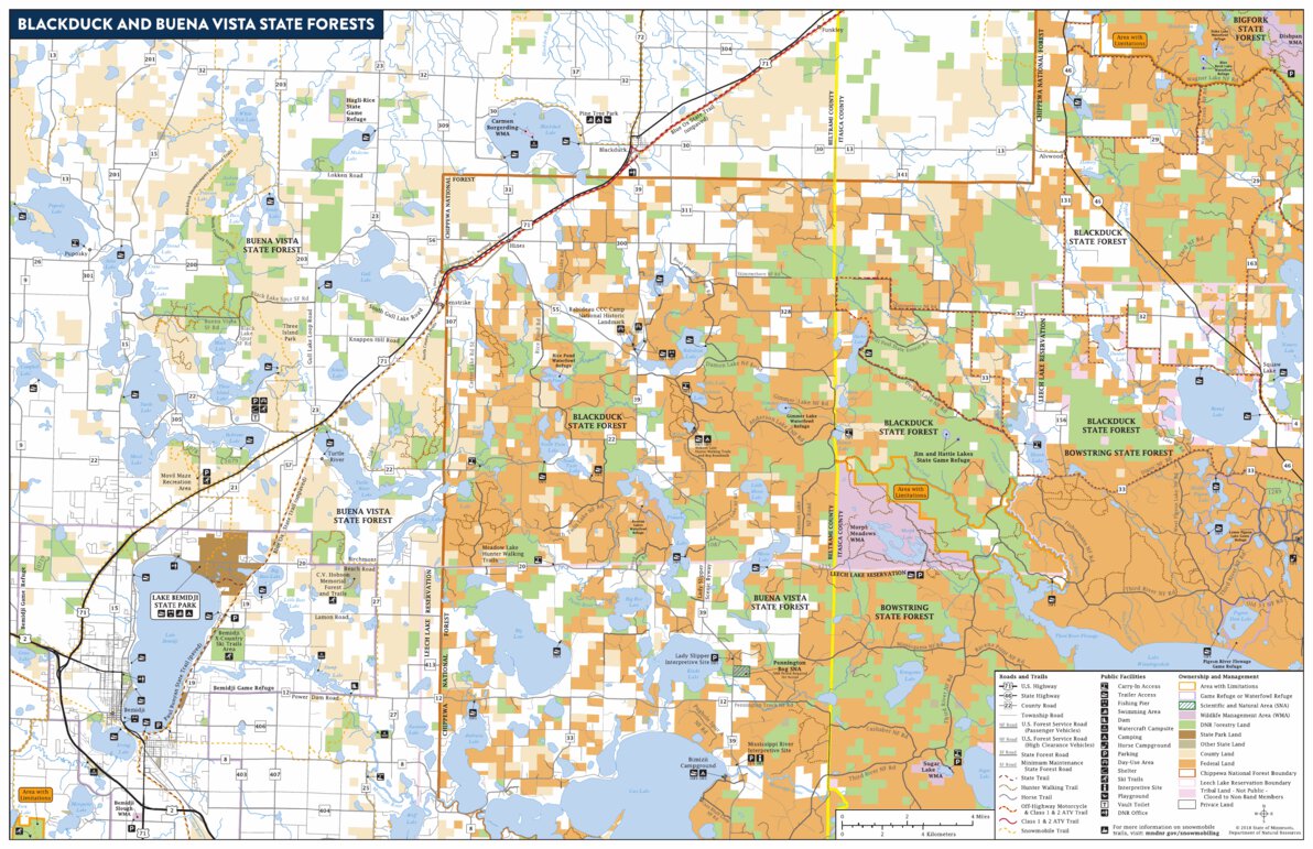 Blackduck and Buena Vista State Forests Map by Minnesota Department of
