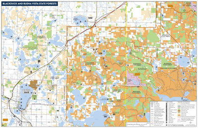 Minnesota Department of Natural Resources Blackduck and Buena Vista State Forests digital map
