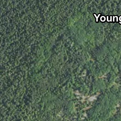 Minnesota Department of Natural Resources Boquist HWT 2022 digital map
