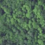 Cedar Lake WMA HWT 2024 Preview 3