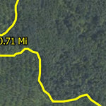 Minnesota Department of Natural Resources Flute Bird HWT 2022 digital map