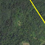 Fran Swanson HWT 2022 Preview 2