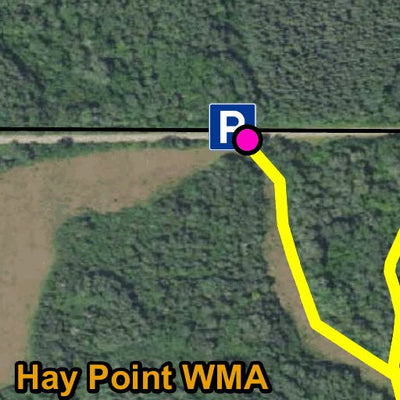 Hay Point WMA HWT 2024 Preview 2