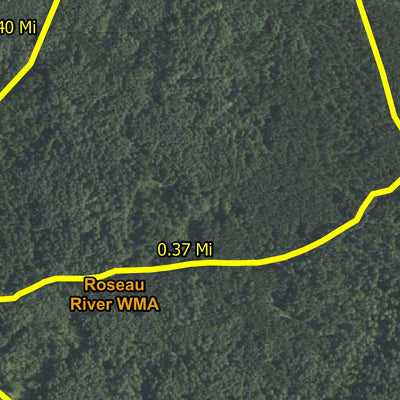 Headquarters North HWT 2024 Preview 2