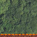 Minnesota Department of Natural Resources Janzen HWT 2022 digital map