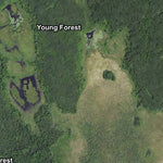 Minnesota Department of Natural Resources Land O'Lakes SF HWT 2022 digital map
