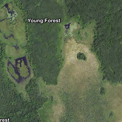 Minnesota Department of Natural Resources Land O'Lakes SF HWT 2022 digital map